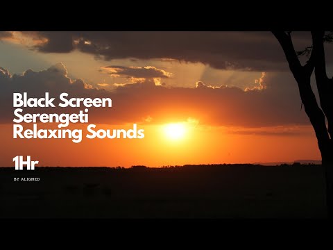 Black Screen Serengeti Relaxing Sounds 1Hr