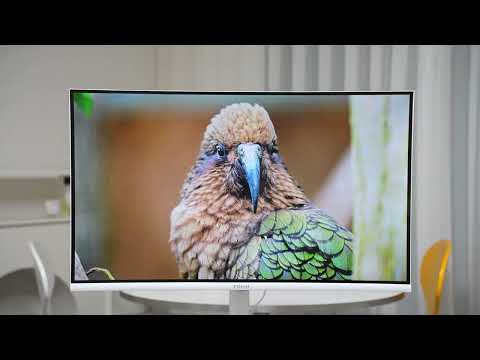 고화질 유튜브 콘텐츠 재생 시연 - 프리즘코리아 CP32G5W 이동형 패키지 (PL2743)[다나와 리포터]