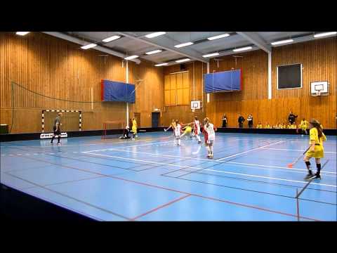 IBF Örebro Ungdom - Bergs IK 2014