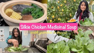 How To Cook Silkie Chicken Soup With Backyard Garden Harvest