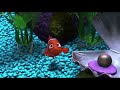 Vacation Animal Story Part 3 Frezzle Flume Fruit Cheeking On Garfield S Present