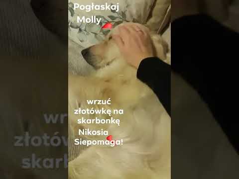 YouTube video preview image