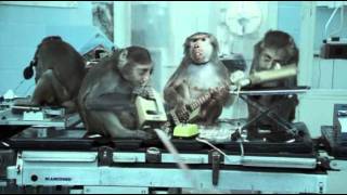 Basement Jaxx - Where's Your Head At ( Official Video ) Rooty