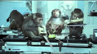 Basement Jaxx - Where's Your Head At video