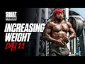 INCREASING WEIGHT TODAY | SQUAT EVERYDAY 11 | Mike Rashid