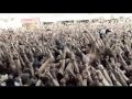 down - lifer with full force 2009