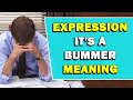 Expression It S A Bummer Meaning
