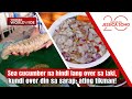 Sea Cucumber Na Hindi Lang Over Sa Laki Kundi Over Din Sa Sarap Tikman Kapuso Mo Jessica Soho