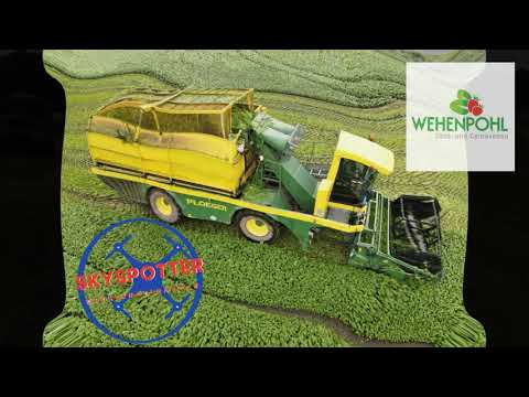 Spinaternte mit den Vollernter Ploeger MK 2100 L