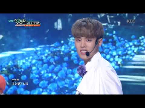 뮤직뱅크 Music Bank - Like a Flower - 블랙식스(BLACK6IX) (Like a Flower - BLACK6IX).20170922