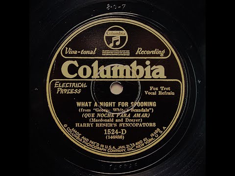 What A Night For Spooning - Harry Reser's Syncopators (1928)