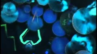 Tension Song (overhead)