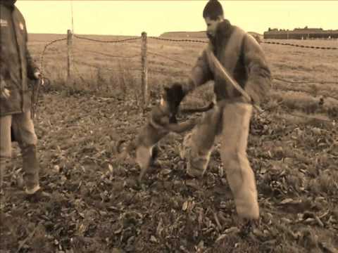 Portrait de notre grande gamine, Gladys