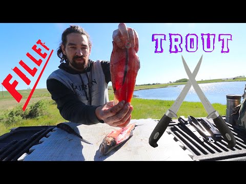EASIEST Way To Clean / Fillet A Rainbow TROUT Quick And Simple How To Debone A Trout!
