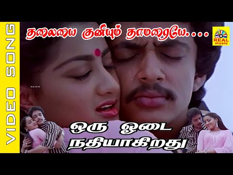 Thalayai Kuniyum Thamaraye #video Song | Movie : Oru Odai Nadhiyagirath | #spb #90severgreen #love