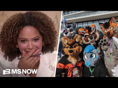 ‘You CAN’T make this up!’: GOP Senator makes bizarre claim of ‘furry’ epidemic in airline industry