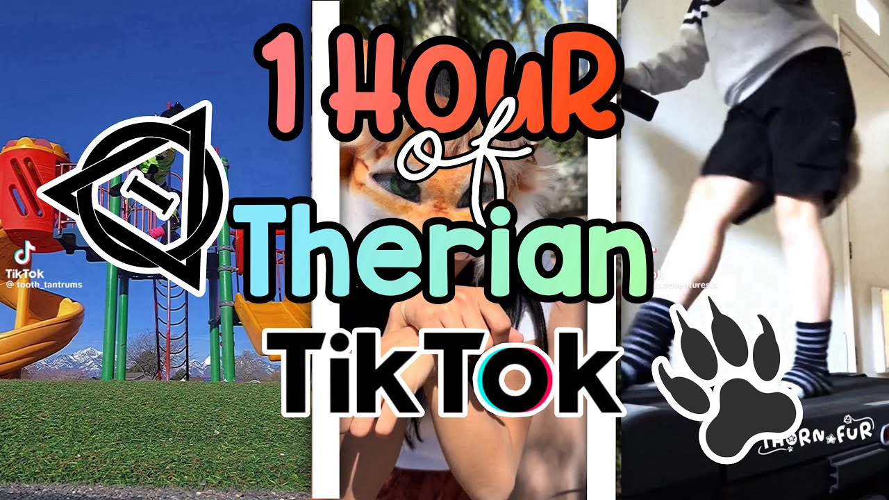 1 hour of therian TikToks! #therian #trending #tiktok #fypシ