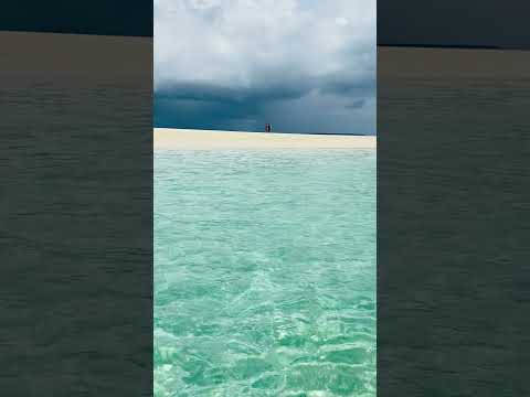 Paradise Beach in Zanzibar Island #Shorts