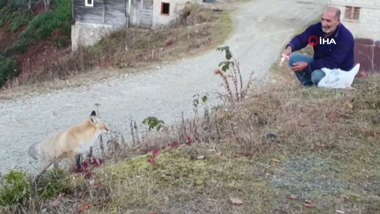 Pimbilona Yaylası’nda sıra dışı dostluk