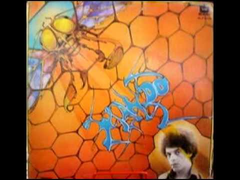 Você Às Vezes Até Sou Eu - Wando