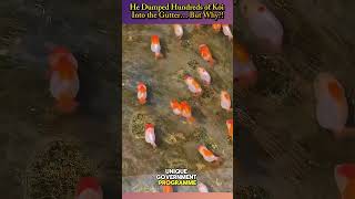 Download lagu When Japan Turns Drainage Canals Into Koi Fish Paradise 🐟✨#shorts mp3