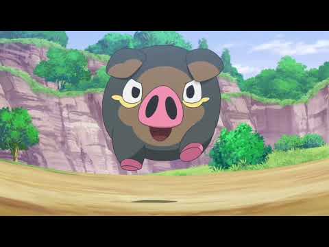 Lechonk attacks Liko