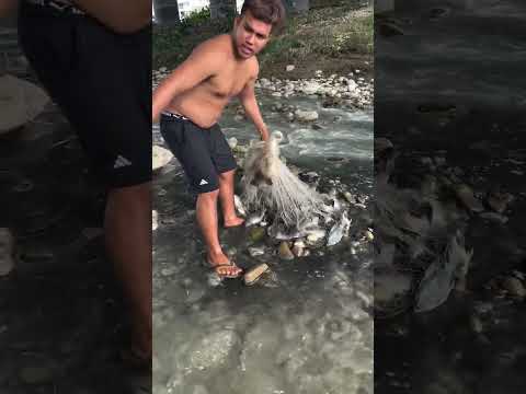 Reel tagged #fish