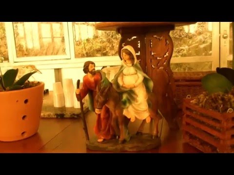 SOU FILHO DO PODER - FLOR DE JAGUBE - MESTRE 116