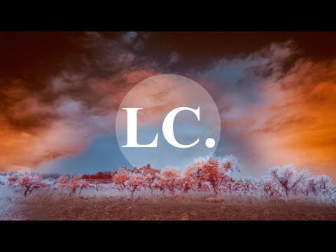 Sleg - Exciting Discoveries