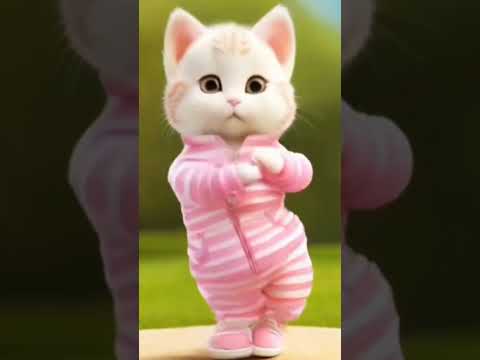 Cat cute dancing video🥰💗😍#cat #catdance #shortsviral #catlover #shortvideo  #catdancememesong