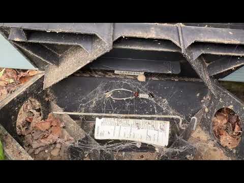 Black Widow Lurking Inside Rodent Bait...