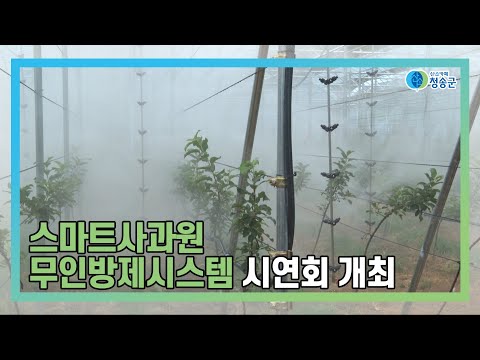 [뉴스와이드 청송] 청송뉴스 6월 4주차