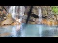Living Wild In The Rainforest Swimming Under Waterfalls And Growing A Permaculture Food Forest