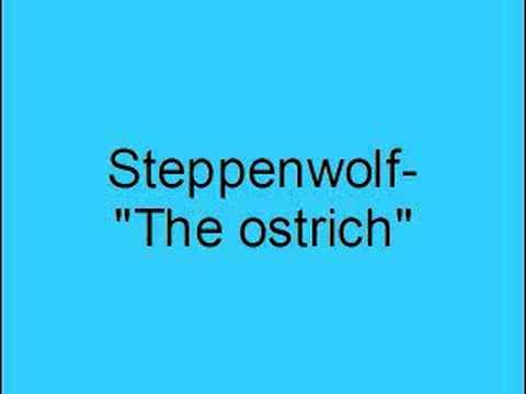 Steppenwolf- The ostrich