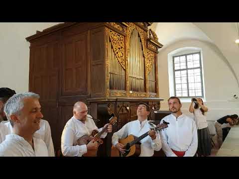 Klapa Levanda - Hallelujah