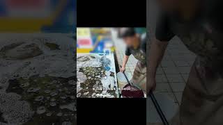 그 시장을 간 유튜버