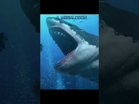 Top 8 extinct animals that scientists are trying to bring back to life