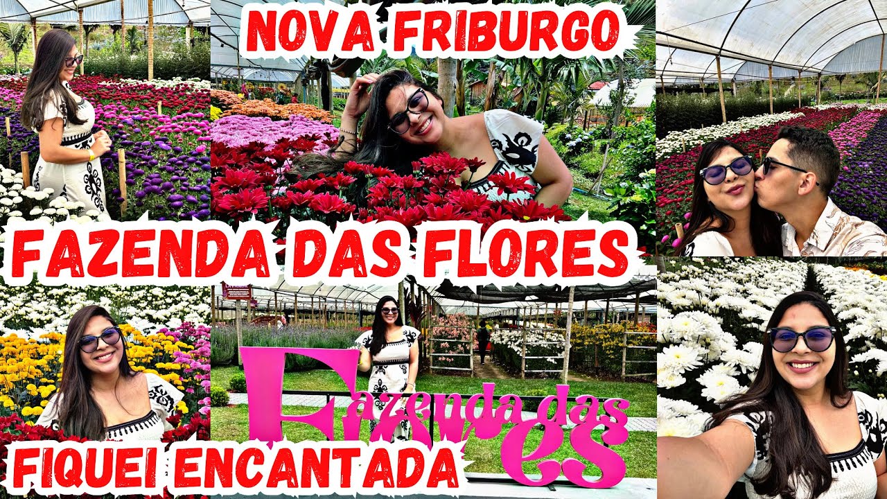 FAZENDA DAS FLORES HECKERT/ NOVA FRIBURGO/ LUGAR PERFEITO 😍🥰🌺🌻