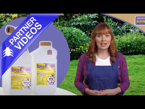  Bonide Repels All Liquid Concentrate Video 