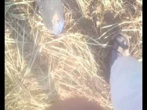 Moje Wykopki Odc. 210 (SE03 E10)