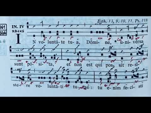 In voluntate tua Domine - Ad introitum