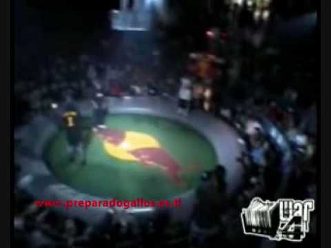 Frescolate VS Tek One - www.preparadogallos.es.tl