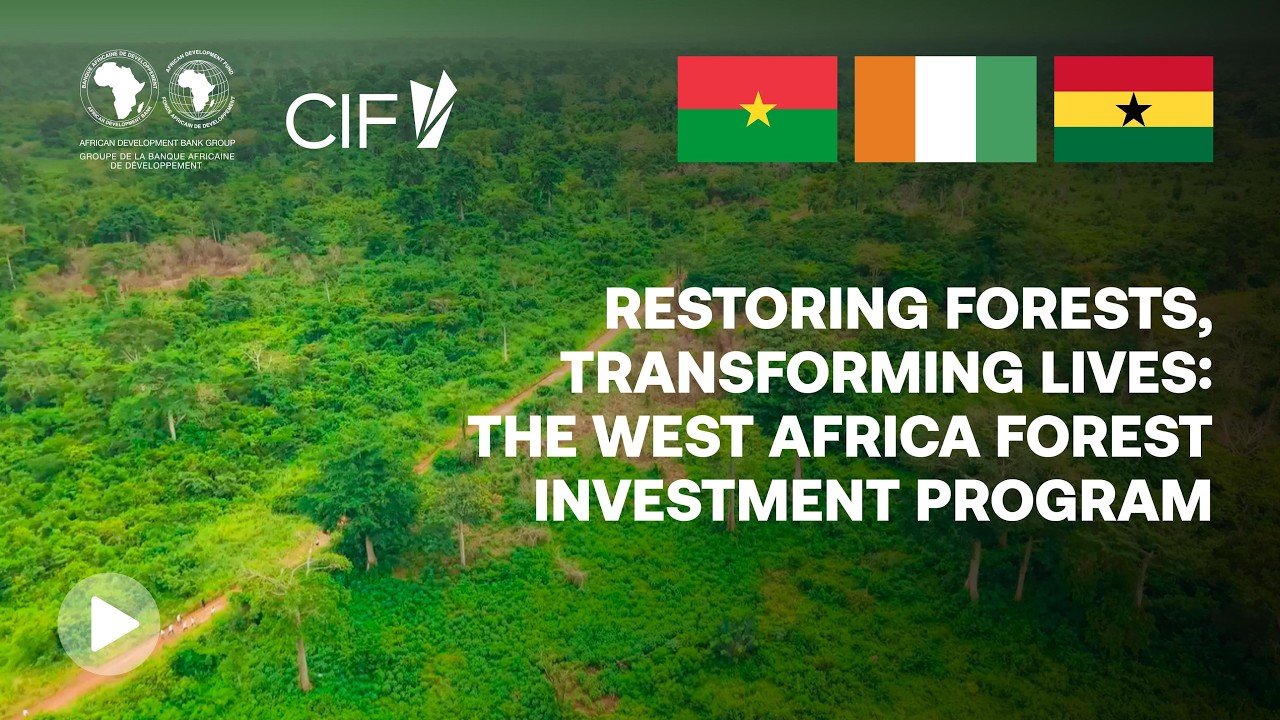 Restoring Forests, Transforming Lives: The West Africa Forest Investment Program