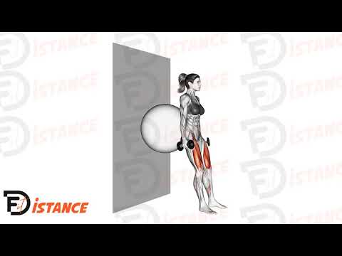 Exercice Squat avec haltères (dos sur ballon contre le mur)