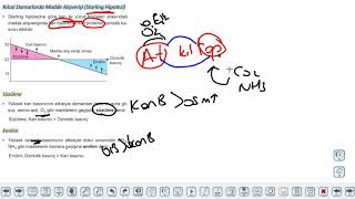 Eğitim Vadisi 11.Sınıf Biyoloji 11.Föy Dolaşım Sistemi 1 (Kan Damarlarının Yapısı) Konu Anlatım Videoları