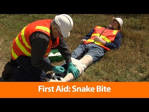 First Aid: Snake Bite - Safety Training Video