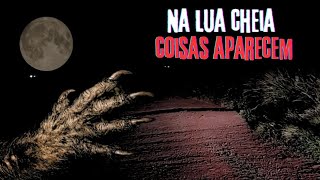 EM NOITES DE LUA CHEIA COISAS ESTRANHAS APARECEM.