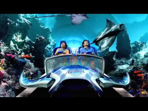 Manta short video by TopTravel Viagens