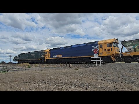 7MC6 PN empty grainy (G539, BL31, 40H), Murtoa to Oaklands, 1330, 15/11/25, Murtoa South VIC 
