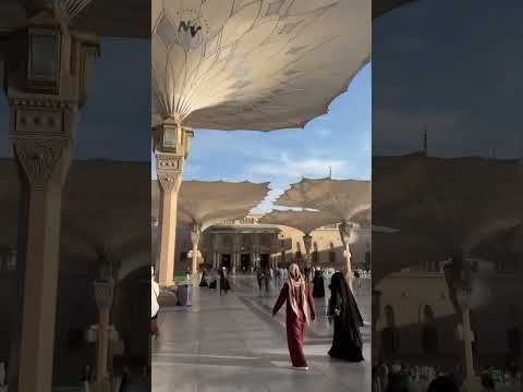 Nirvanic vats TAJDAR-E-HARAM